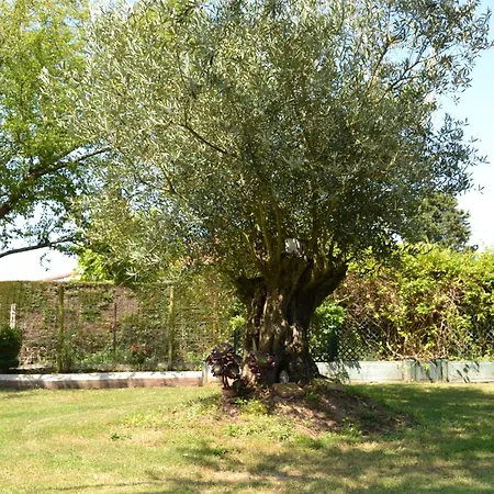 Le De La Lombriere Holiday home